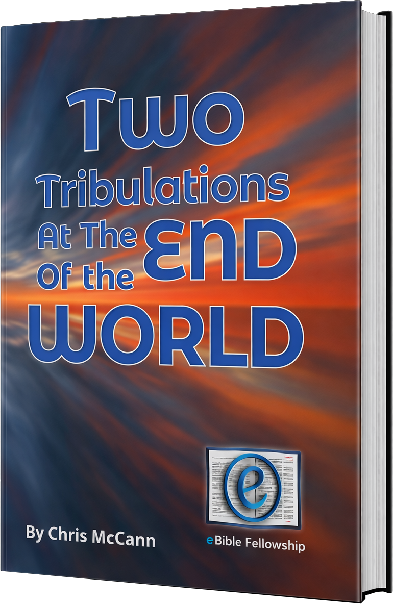 Two Tribulations at the End of the World